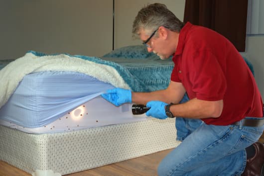 bed-bugs-bed-inspection | California Bed Bug Exterminators