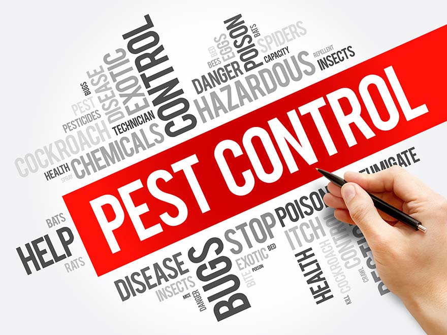 pest-control | California Bed Bug Exterminators what to expect from Pest Control Heat Treatment